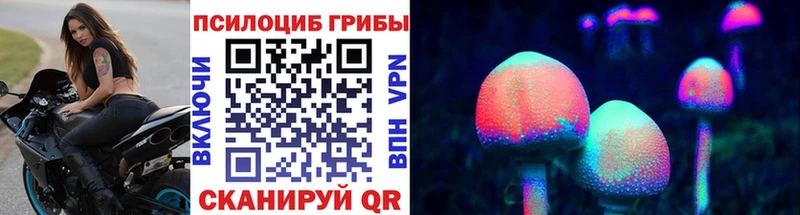 Псилоцибиновые грибы Psilocybe  что такое   Артёмовский 